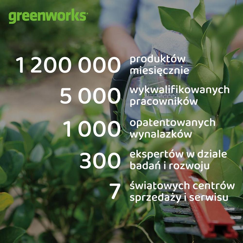 GREENWORKS Pilarka/nożyce do żywopłotu na wysięgniku Greenworks GD40PSH 40V