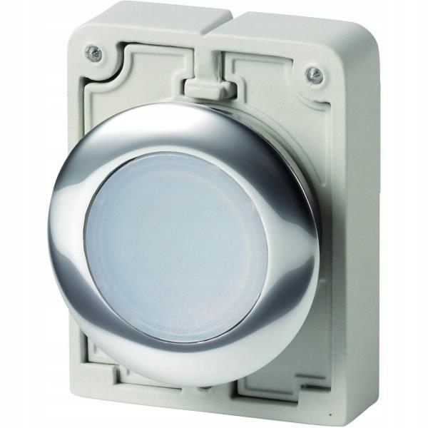 EATON Przycisk podświetlany 30mm płaski, biały M30C-FDL-W