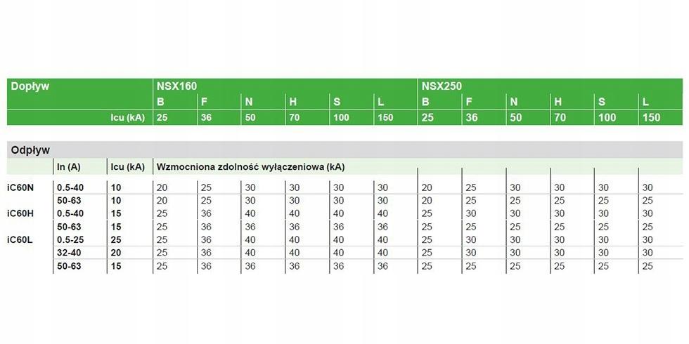 SCHNEIDER ELECTRIC Wyłącznik nadprądowy iC60N-C10-2 C 10A 2-biegunowy