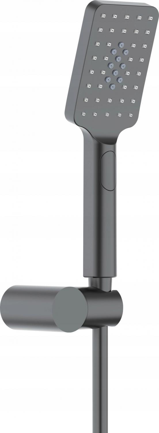 DEANTE Zestaw natryskowy Alpinia, titanium, 1-punktowy