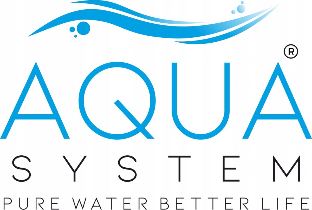 Filtr z manualnym płukaniem wstecznym BWT PROTECTOR BW 1