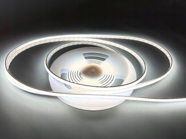 Taśma LED NEXTEC EX, 24V, 2216, 12W, 288LED, IP67, 6200K +/-250K, 110lm/W,