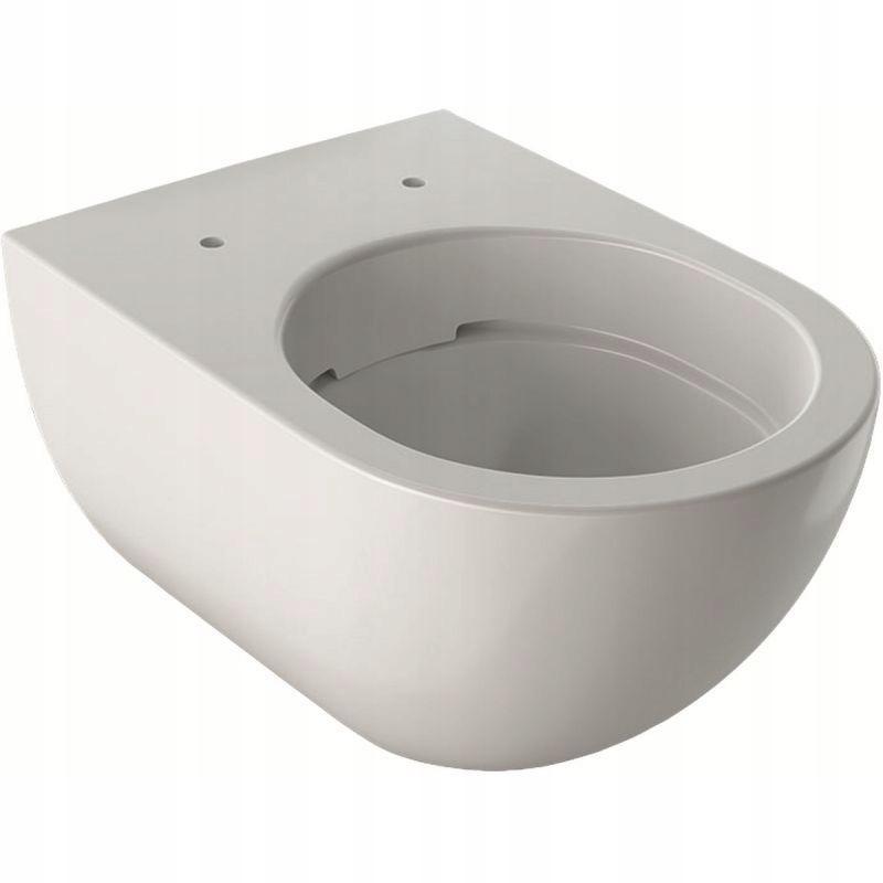 Miska wisząca WC Acanto z ceramiczną muszlą toaletową, zamknięta forma, Rim