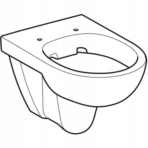 GEBERIT Miska wisząca WC Selnova, lejowa, B35.5 cm, H34 cm, T53 cm, Rimfree