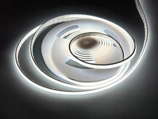 Taśma LED NEXTEC EX, 24V, 2216, 12W, 288LED, IP67, 6200K +/-250K, 110lm/W,