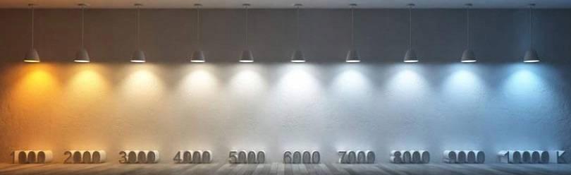 Taśma LED 14 W 12V DC 5 kolor biały neutralny 48h