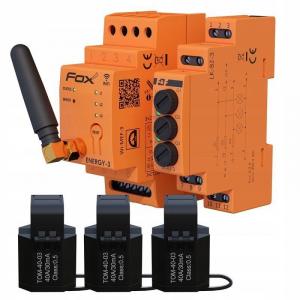 F&F Zestaw: monitor zużycia energii MEF-3-40 FOX z lampką LK-BZ-3